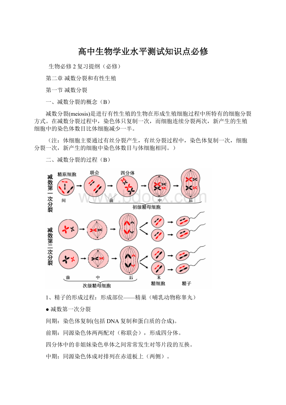 高中生物学业水平测试知识点必修.docx_第1页