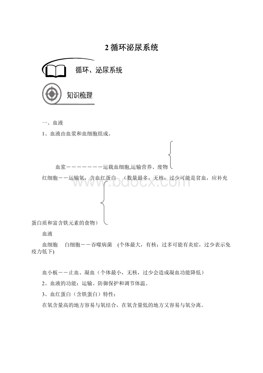 2循环泌尿系统Word文档下载推荐.docx_第1页