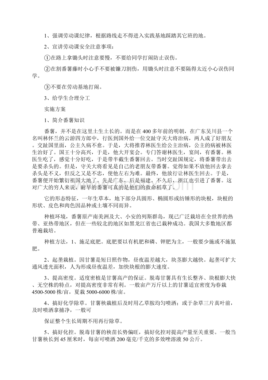 幼儿园番薯教案文档格式.docx_第2页