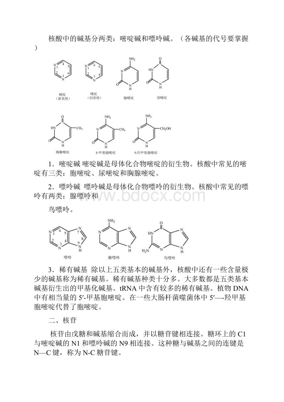 第五章核酸化学.docx_第3页