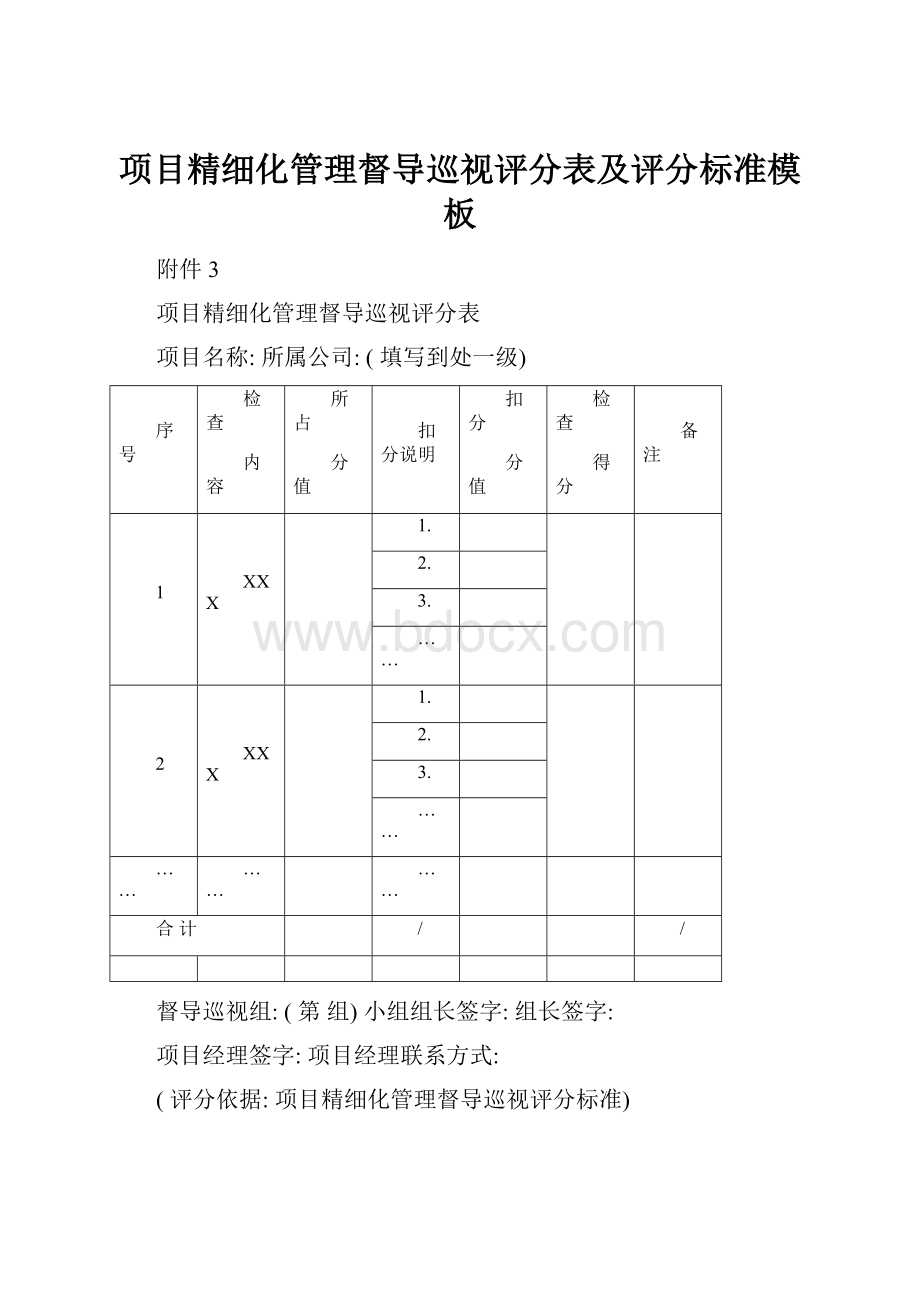 项目精细化管理督导巡视评分表及评分标准模板.docx