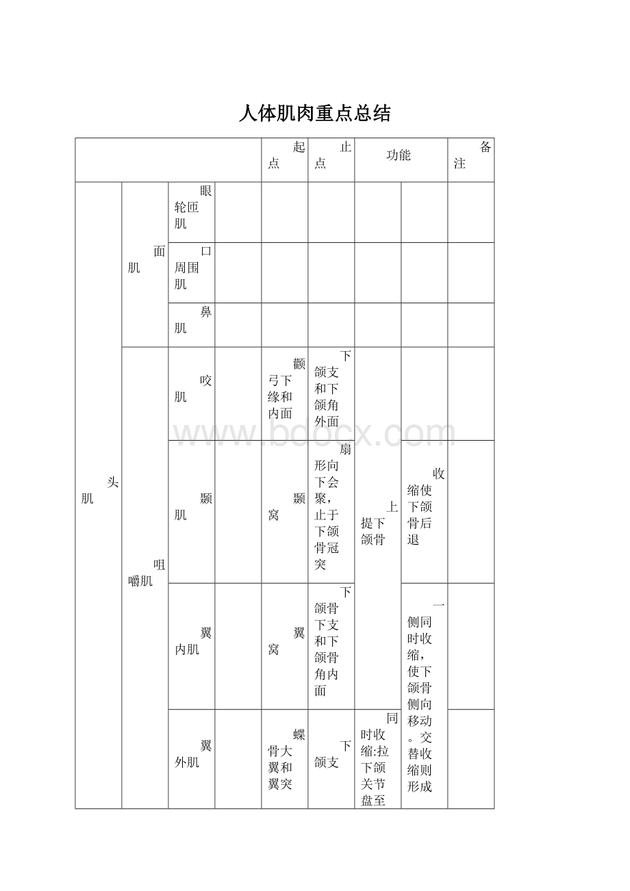 人体肌肉重点总结.docx_第1页