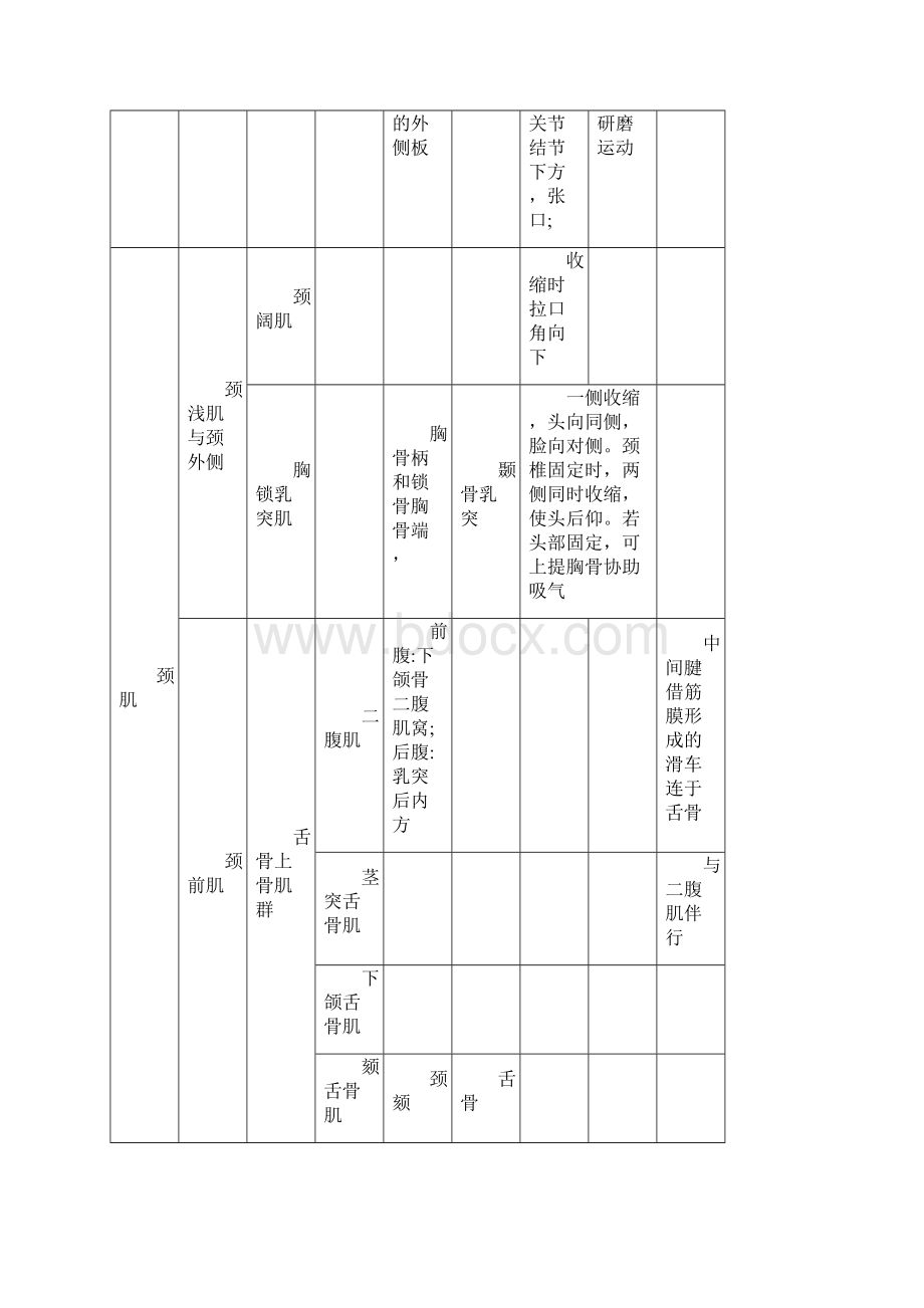 人体肌肉重点总结.docx_第2页