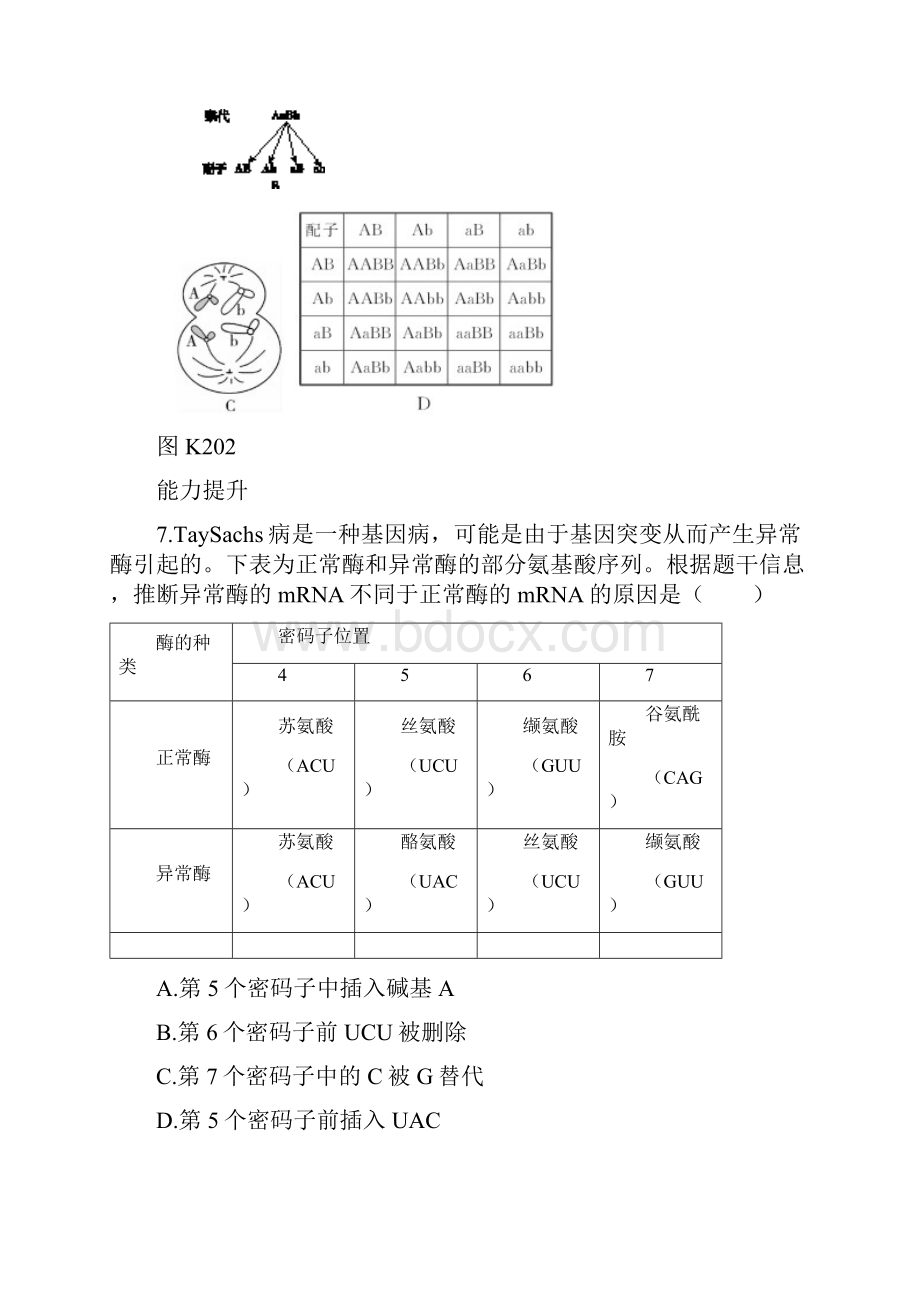 作业正文第七单元遗传变异与进化.docx_第3页