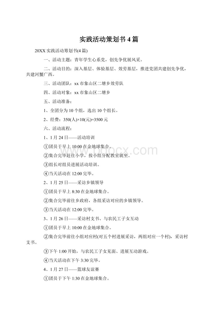 实践活动策划书4篇文档格式.docx