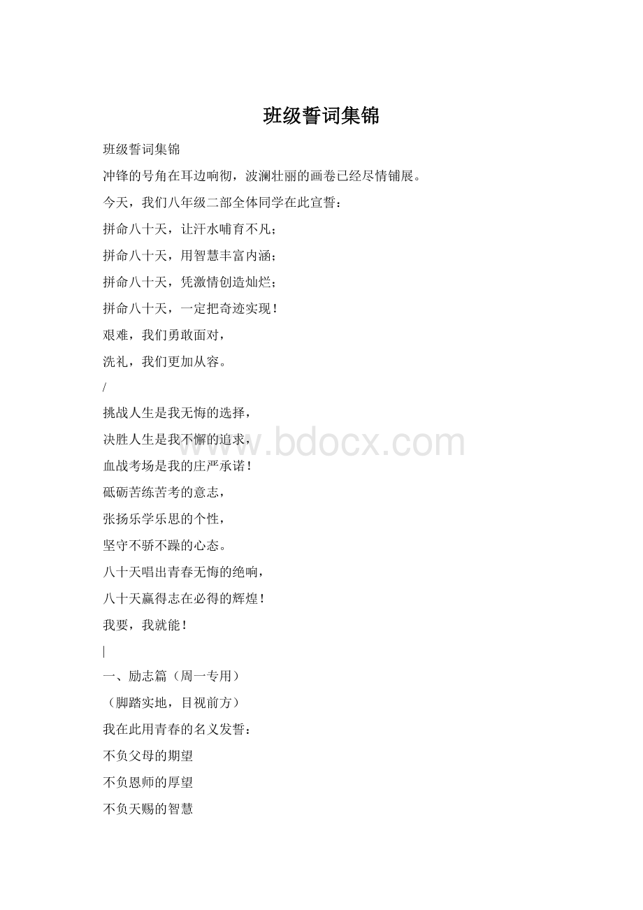 班级誓词集锦文档格式.docx