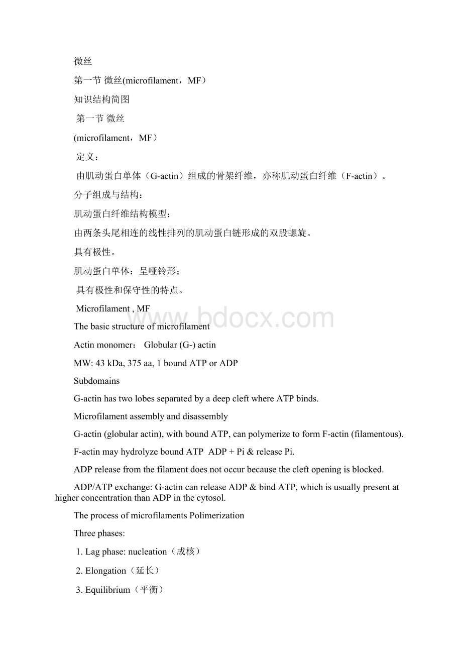 THE CYTOSKELETON.docx_第3页