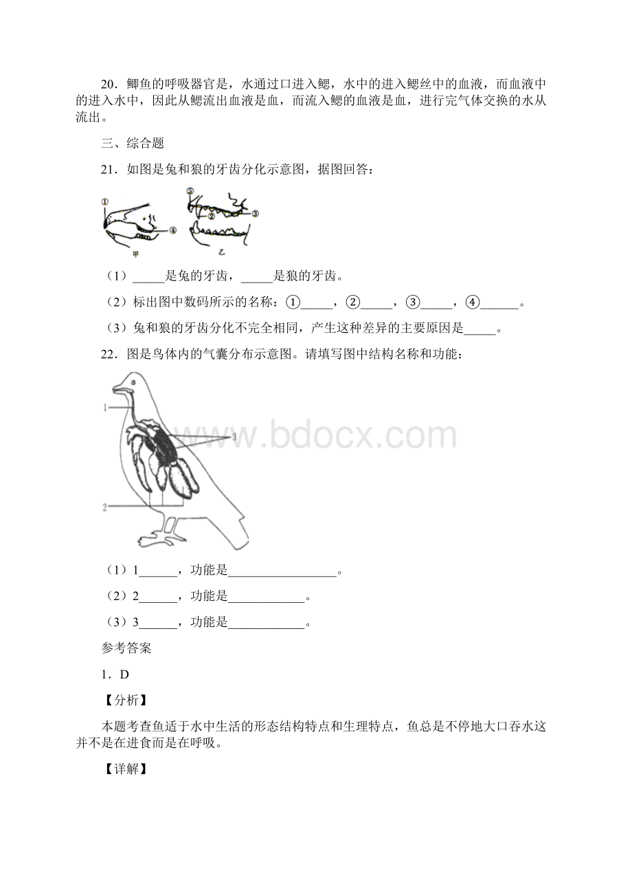 辽宁省锦州市第七中学学年八年级上学期期中生物试题Word文档下载推荐.docx_第3页