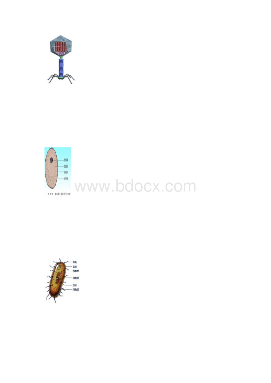 湖南永州市初中学业水平模拟检测试题卷3Word文档格式.docx_第2页