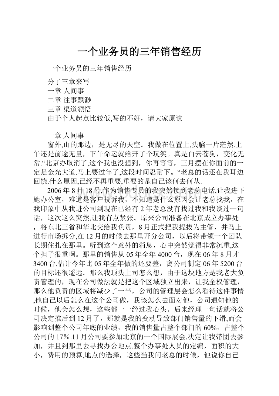 一个业务员的三年销售经历Word格式.docx