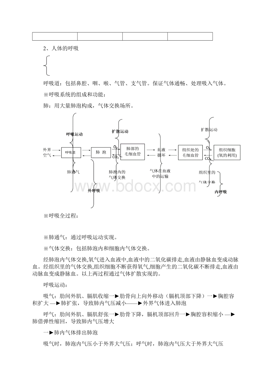 初中科学学业考试目标梳理生物部分人体的物质与能量的转换.docx_第3页