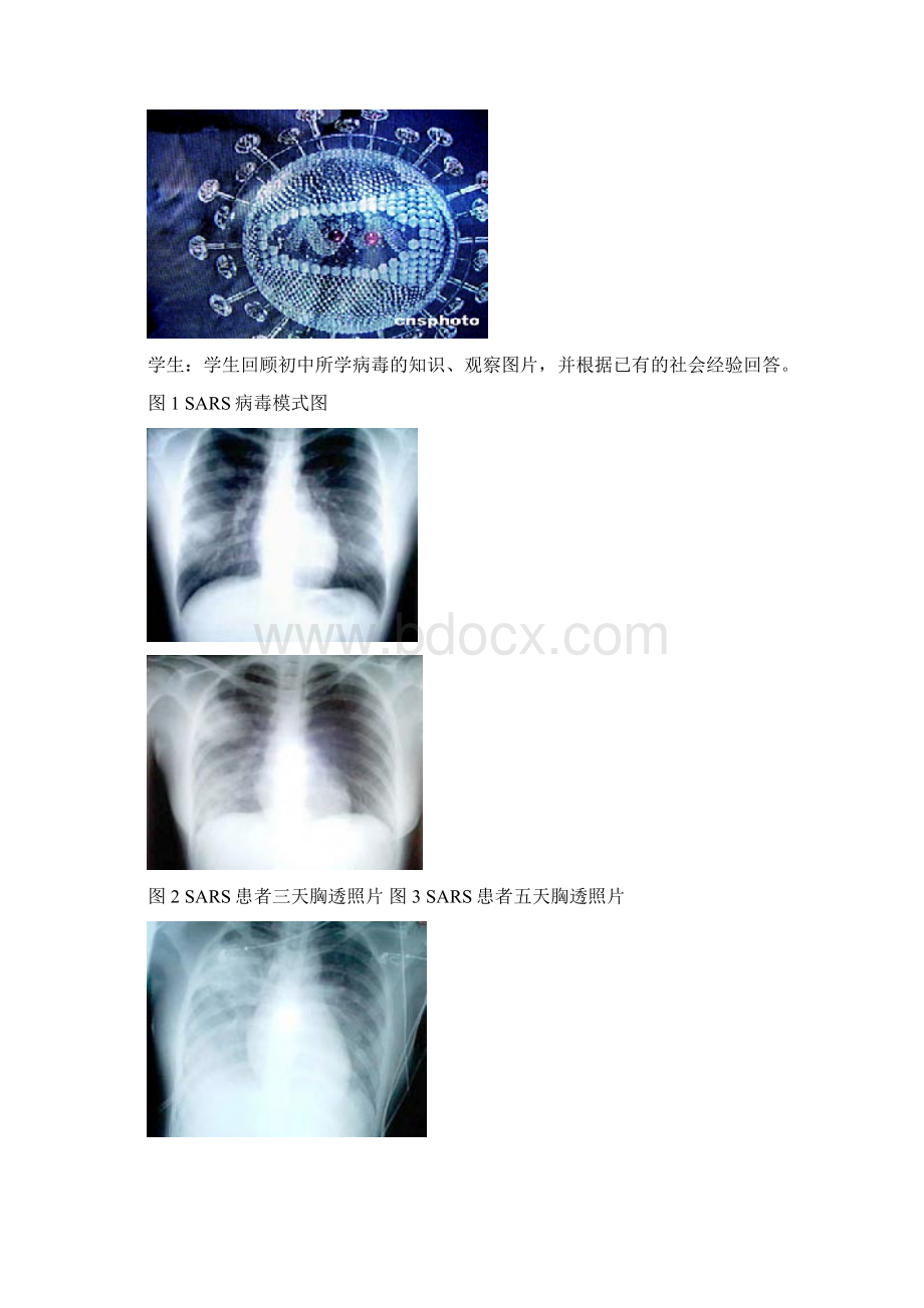 高中生物《从生物圈到细胞》教案10 新人教版必修1.docx_第2页