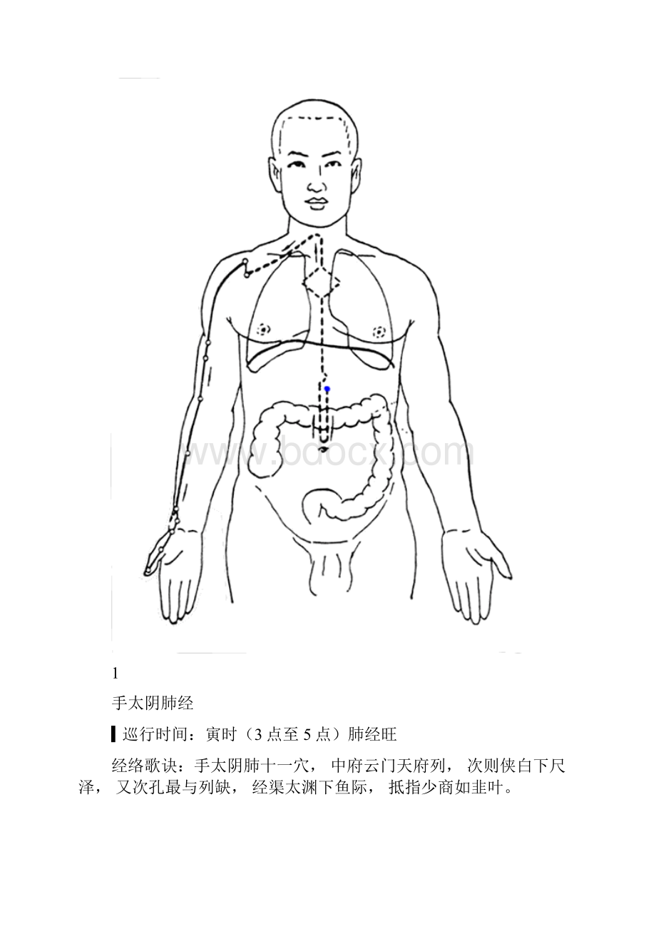 经络动态循行图.docx_第2页