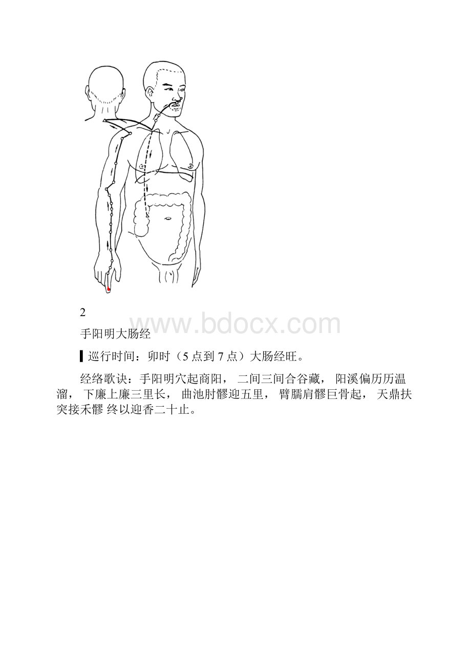 经络动态循行图.docx_第3页