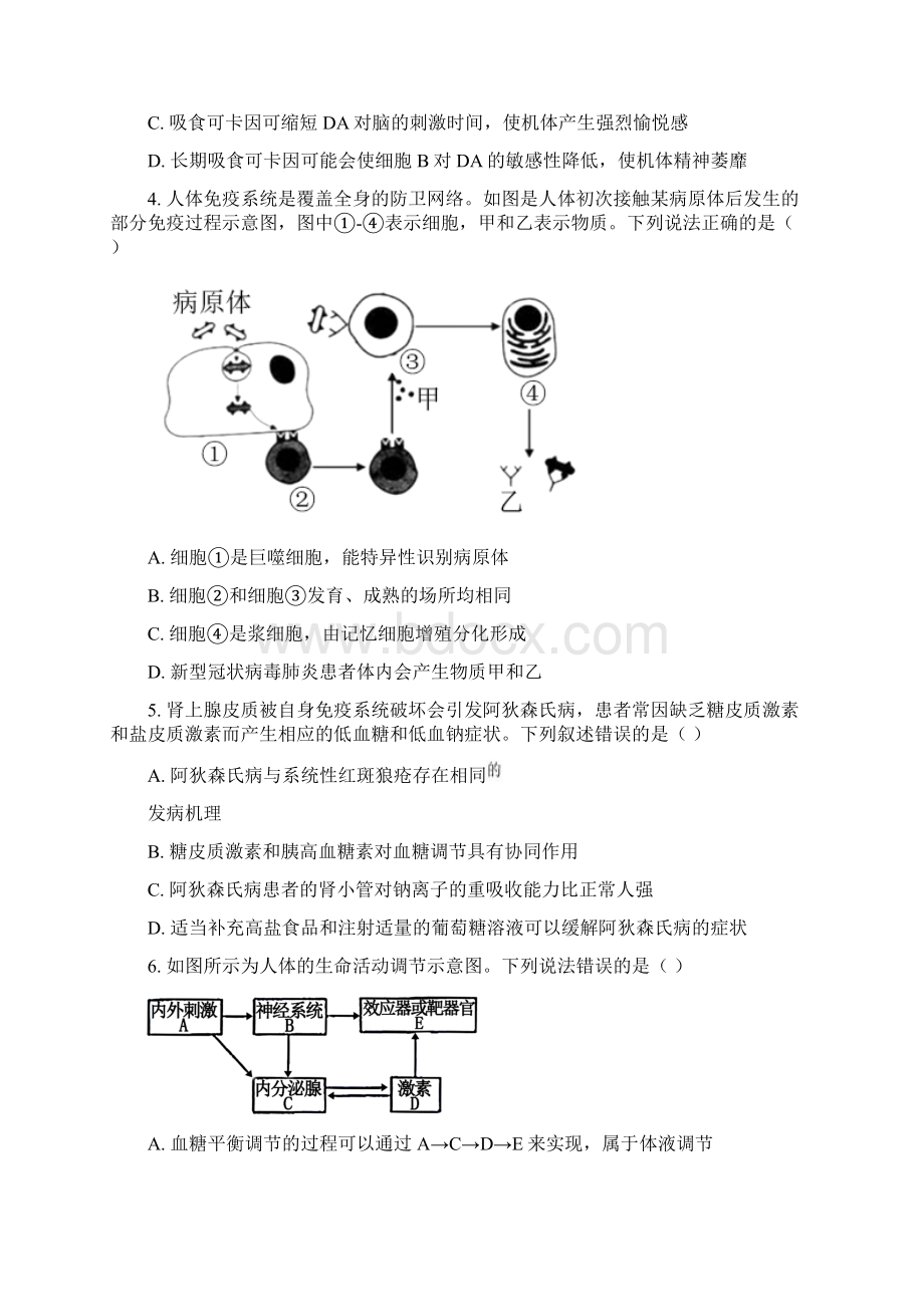 山东省泰安市学年高二上学期期末考试生物试题 Word版含答案Word格式.docx_第2页