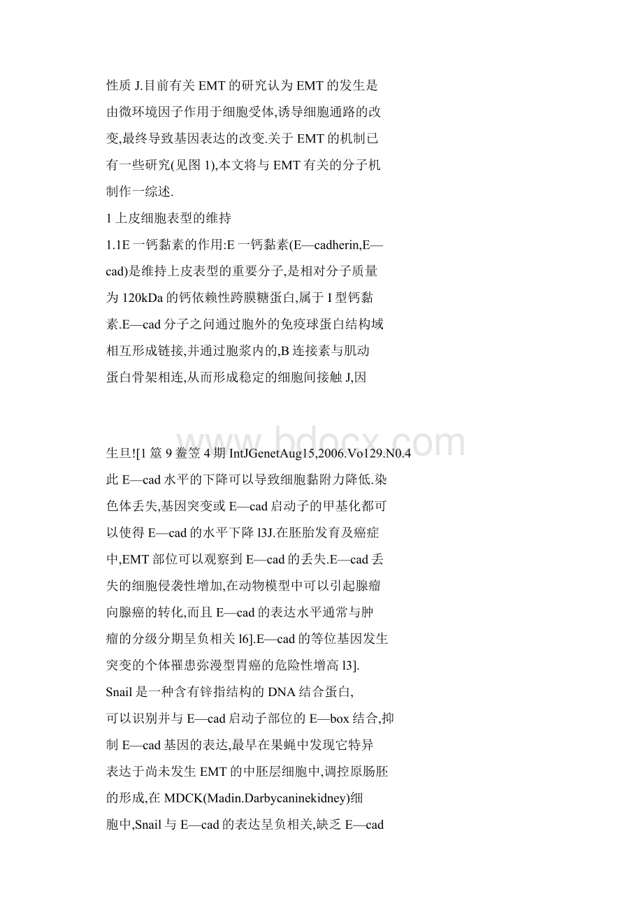 word 上皮间质转化EMT及其分子机制.docx_第3页