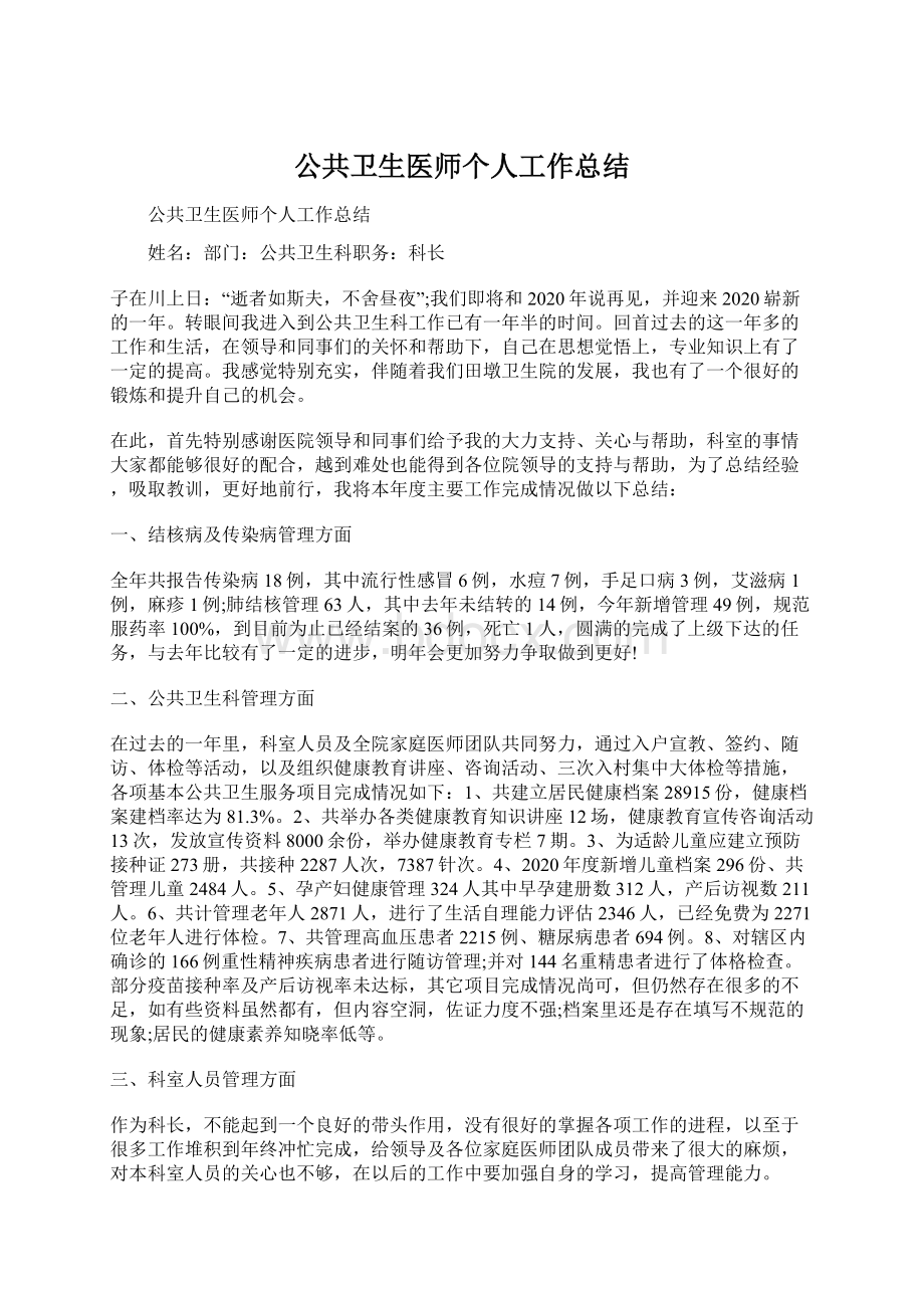 公共卫生医师个人工作总结.docx