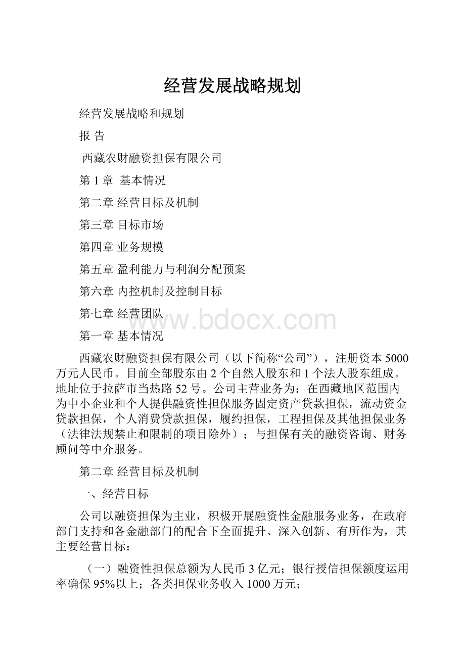 经营发展战略规划.docx_第1页