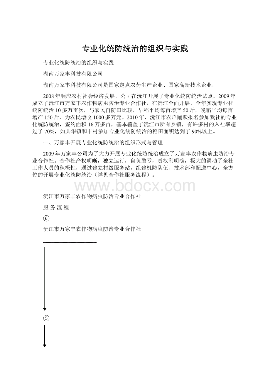 专业化统防统治的组织与实践Word格式文档下载.docx