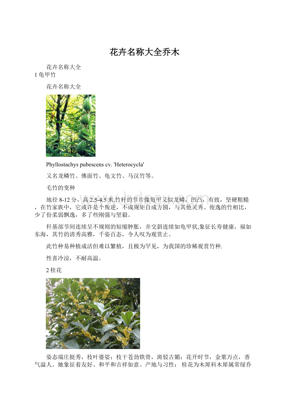 花卉名称大全乔木Word下载.docx_第1页