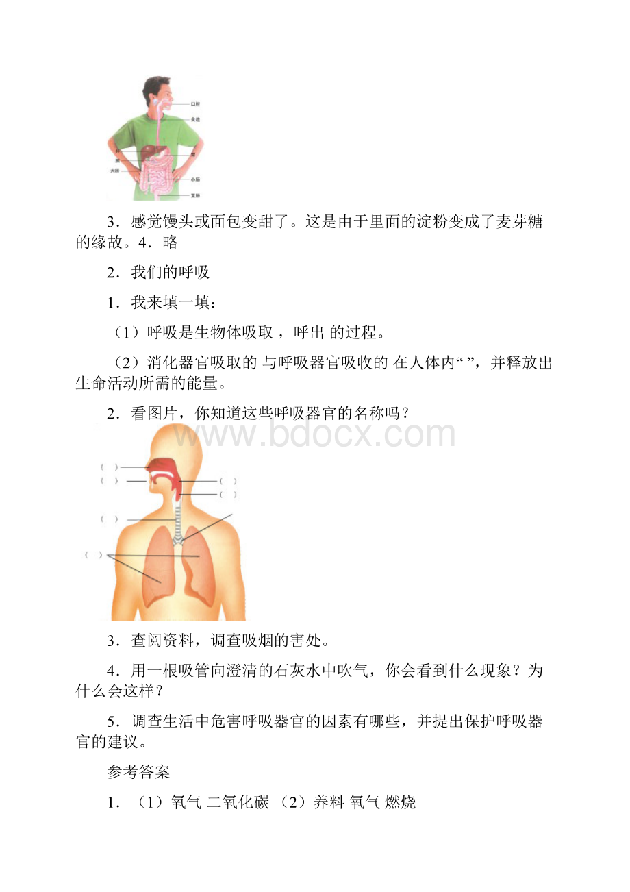 青岛版五年级科学下册随堂自测题及问题详解.docx_第2页