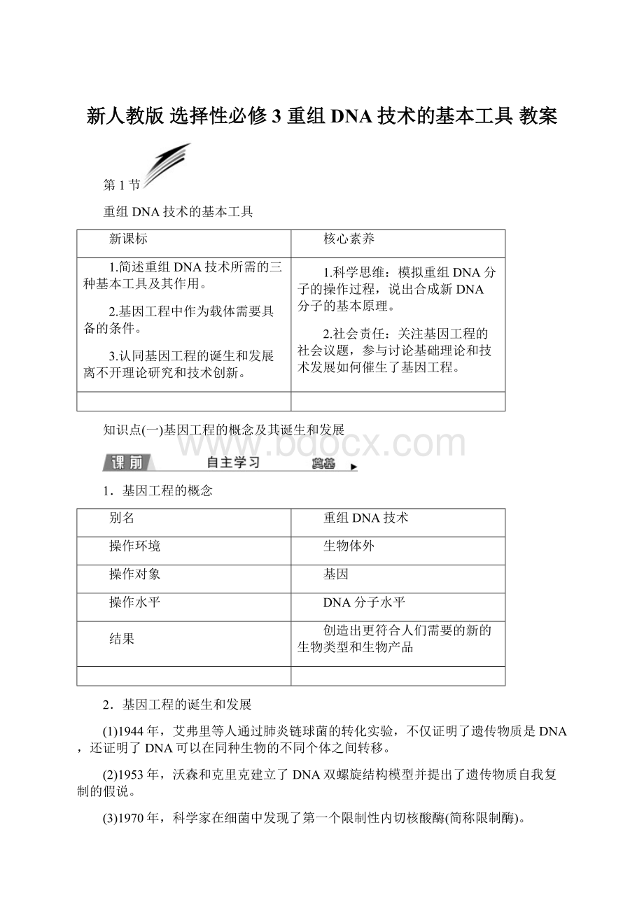 新人教版 选择性必修3 重组DNA技术的基本工具 教案.docx