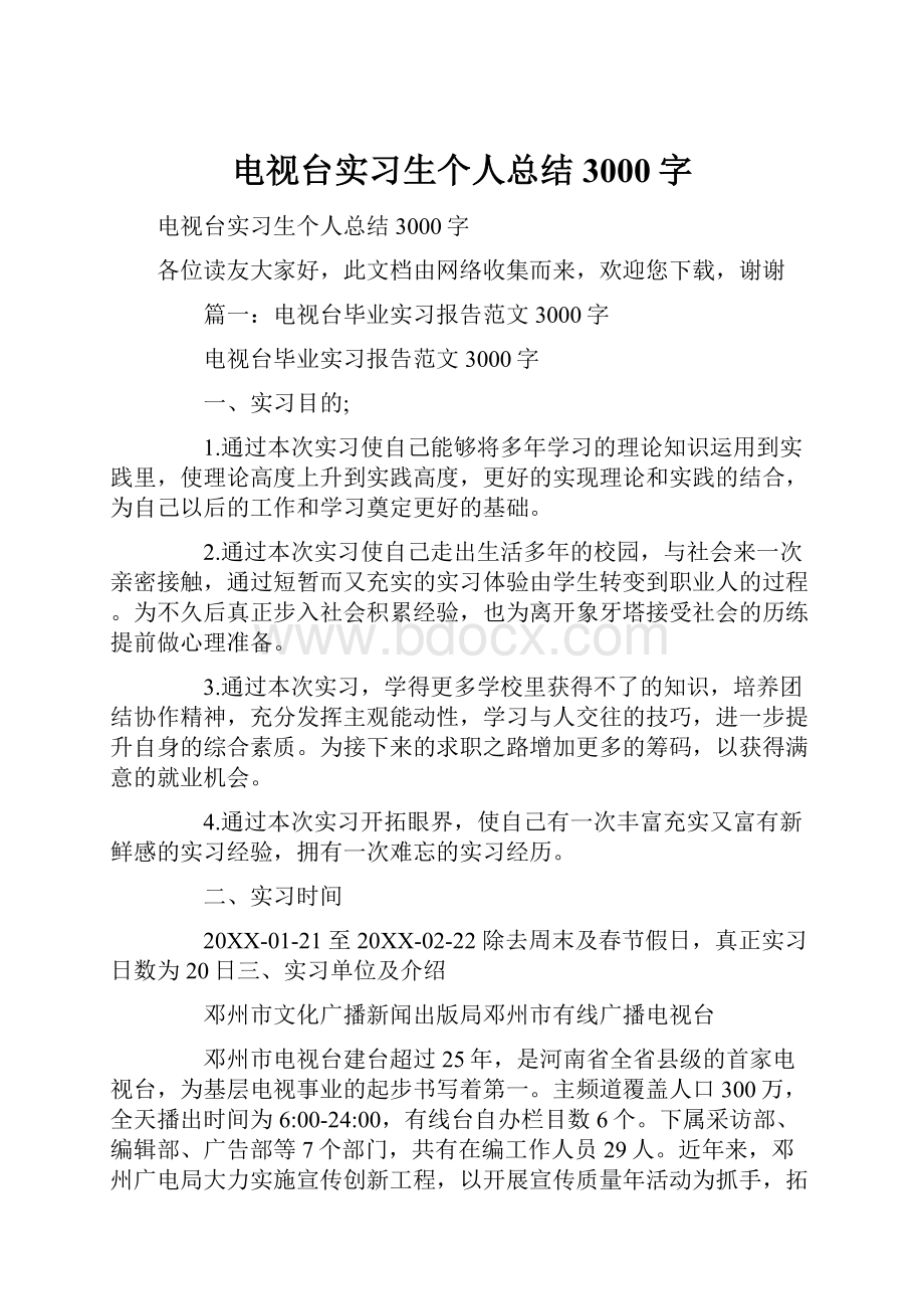 电视台实习生个人总结3000字.docx