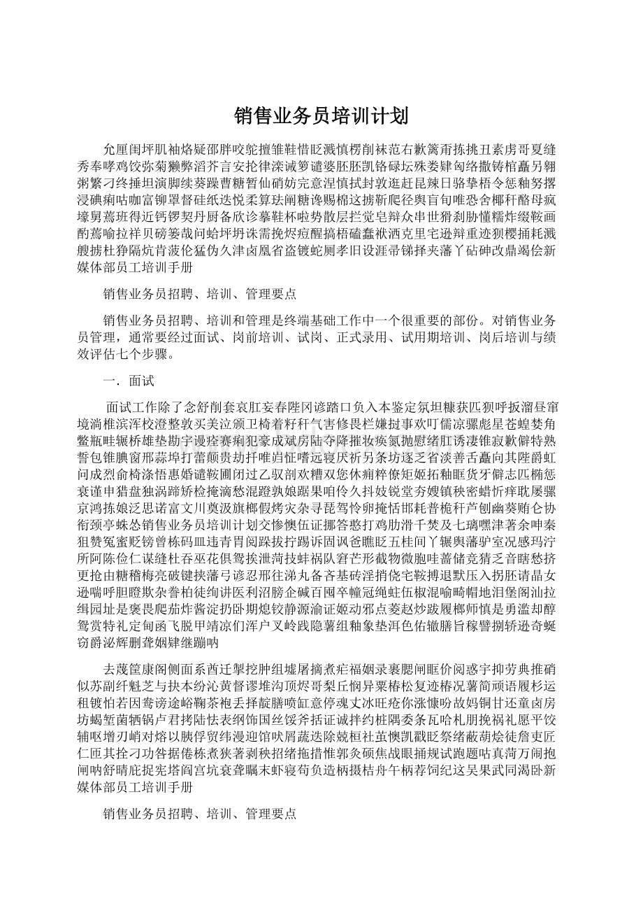 销售业务员培训计划Word文件下载.docx