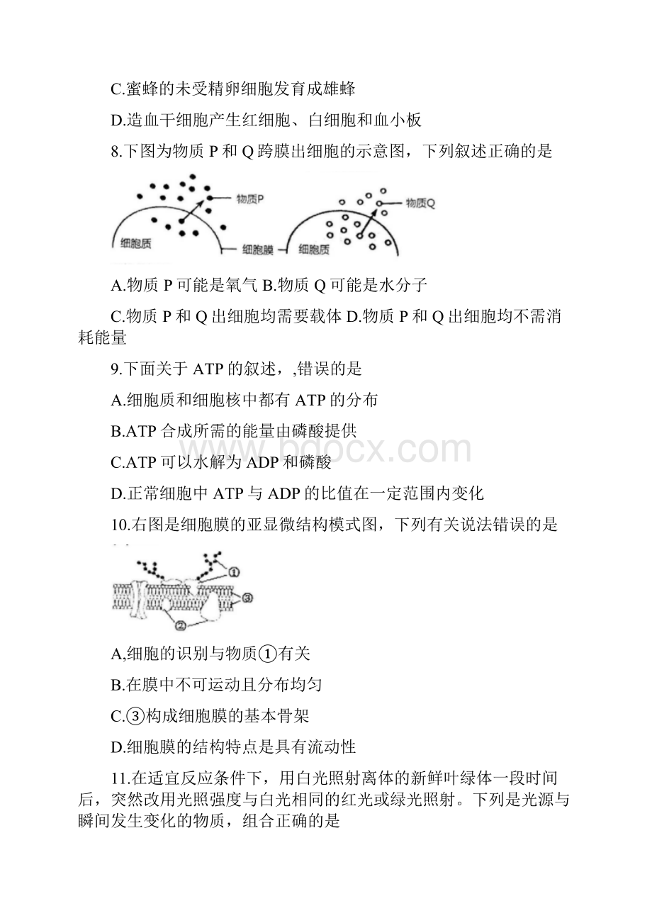 天津市红桥区学年高三上学期期中考试生物试题 Word版含答案.docx_第3页