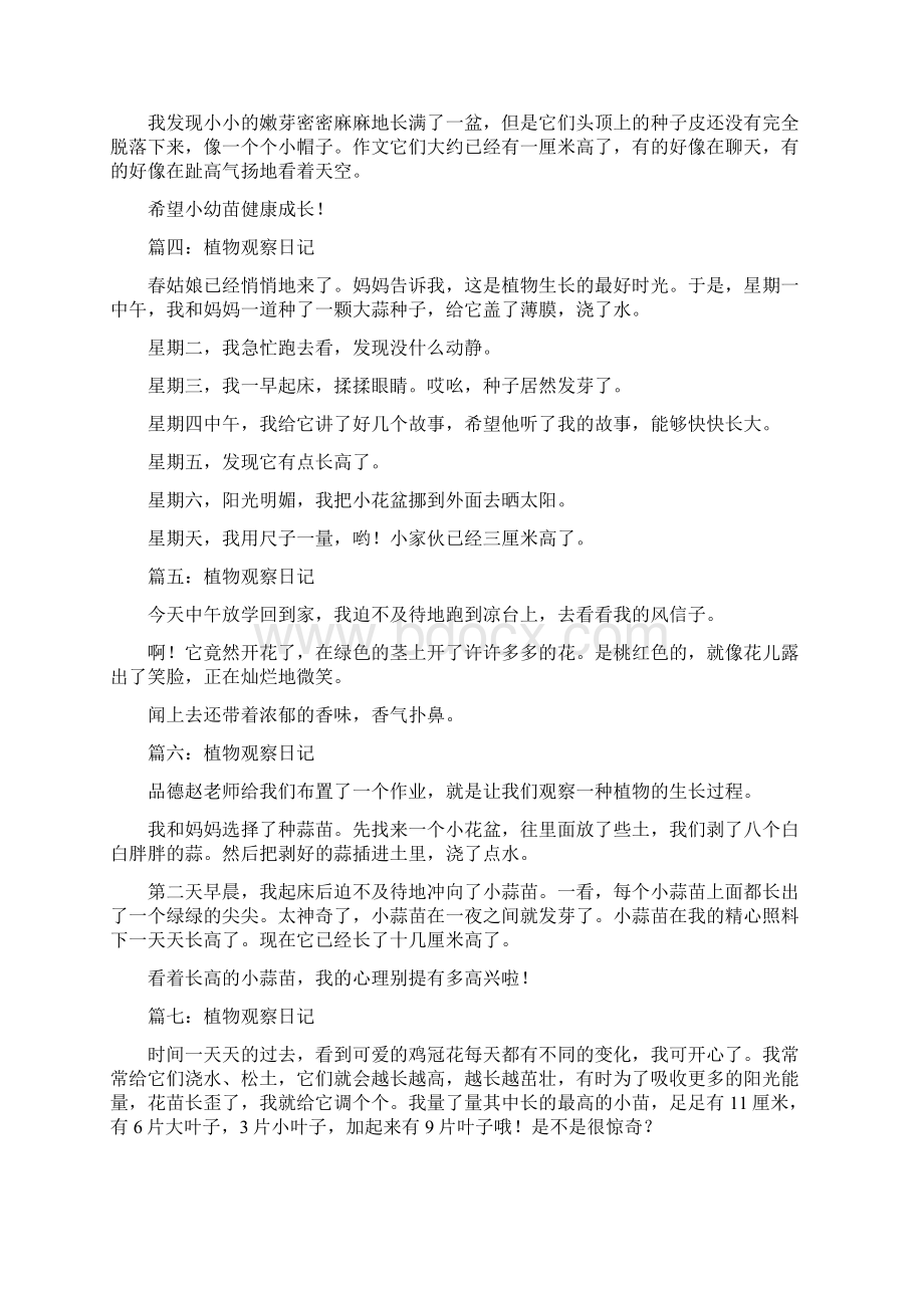 观察作文100字6篇共42页Word文档格式.docx_第2页