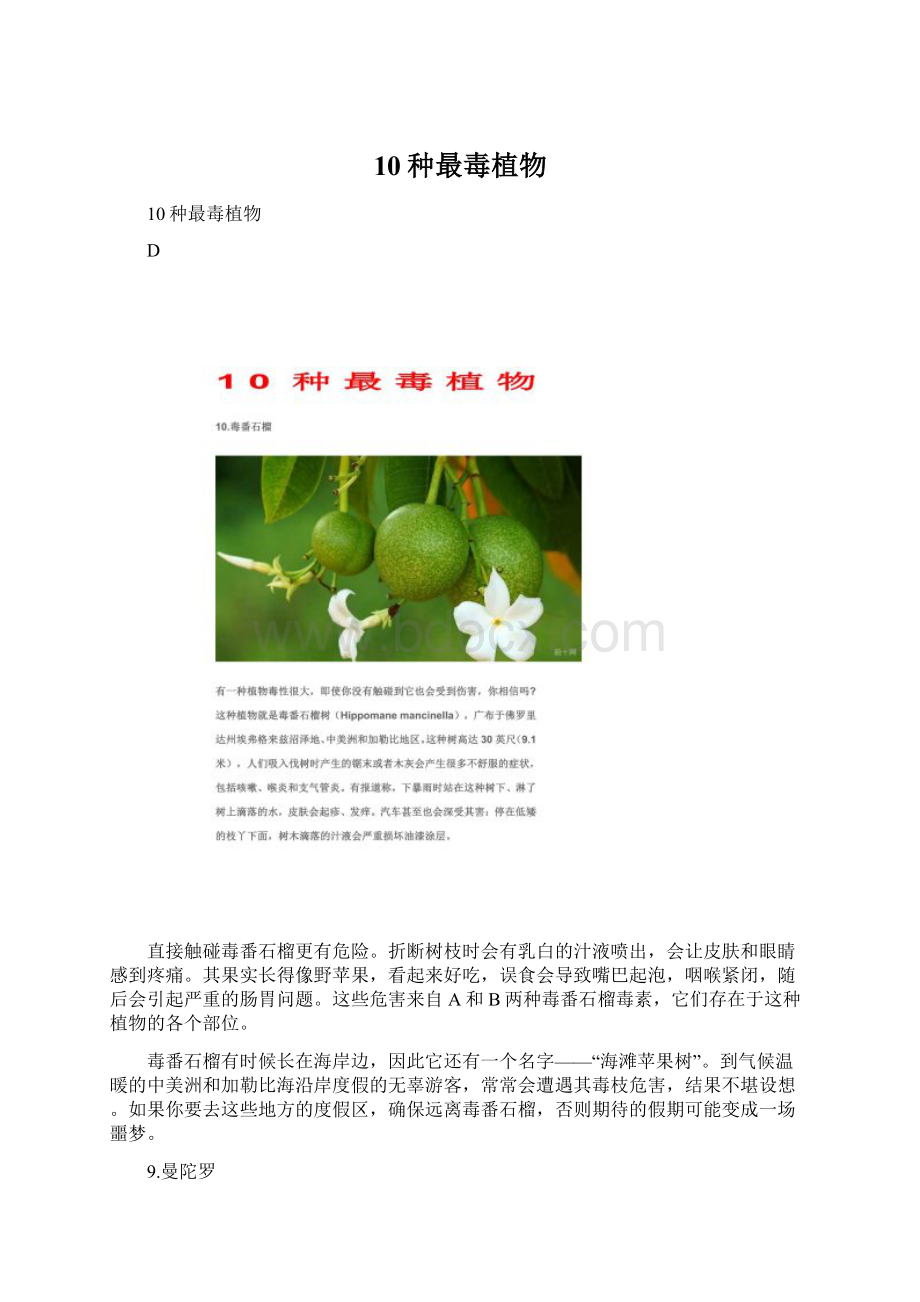 10种最毒植物文档格式.docx