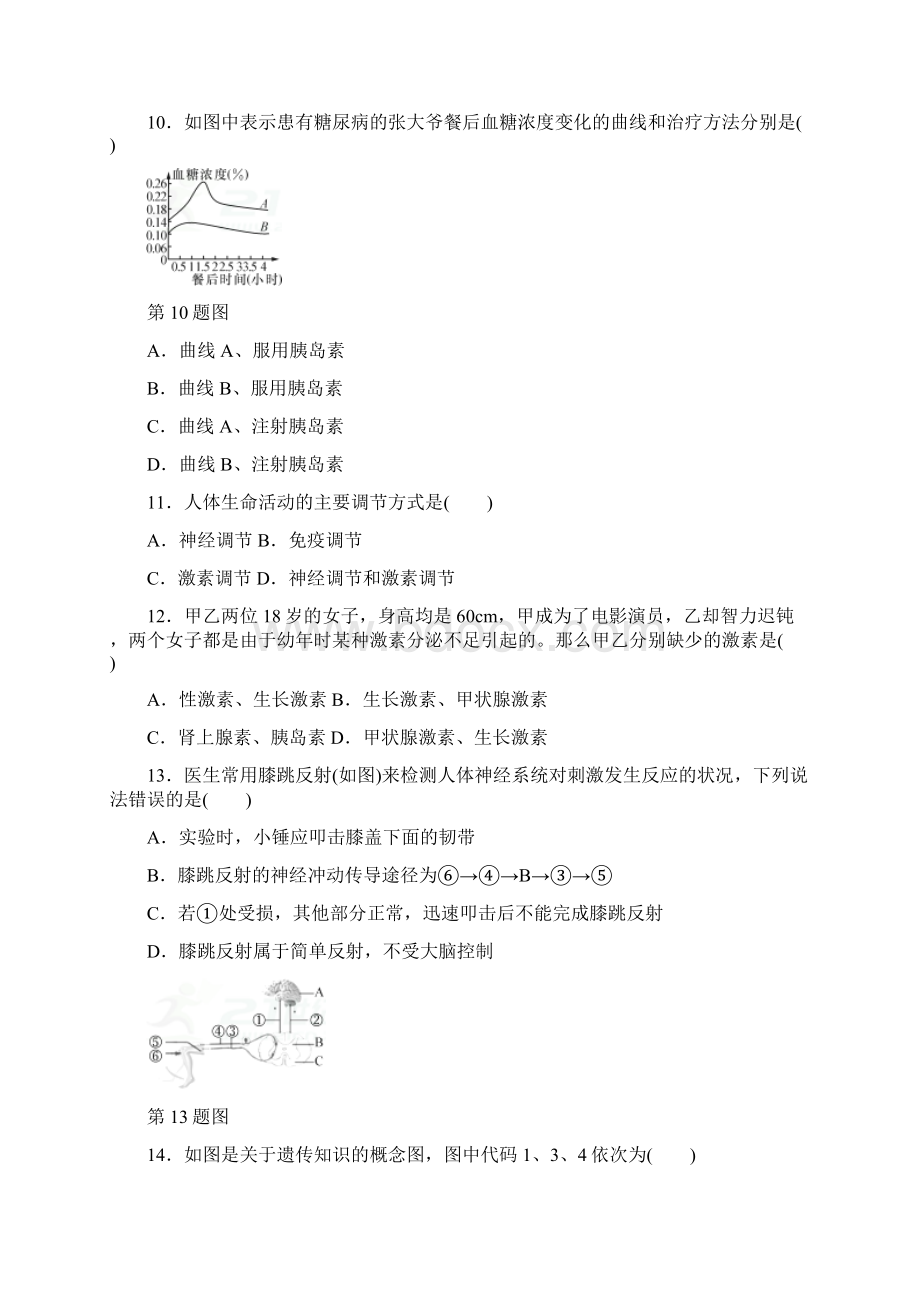 阶段检测3 生命活动的调节 生物的生殖和发育遗传与进化健康地生活文档格式.docx_第3页