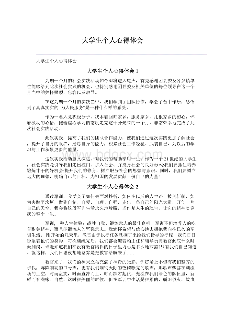 大学生个人心得体会Word文档下载推荐.docx_第1页