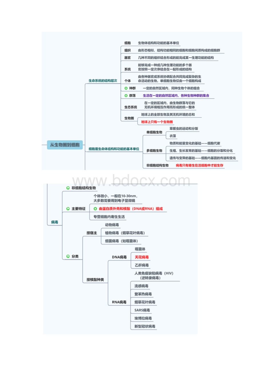 人教版高中生物必修一思维导图高清大图 可以放大.docx_第2页