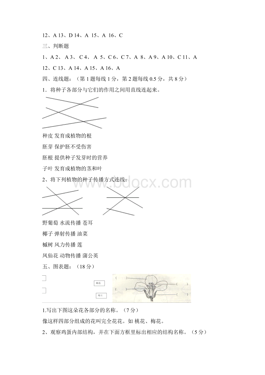 四下新课程科学学生学业水平评价题参考答案及评分标准.docx_第3页