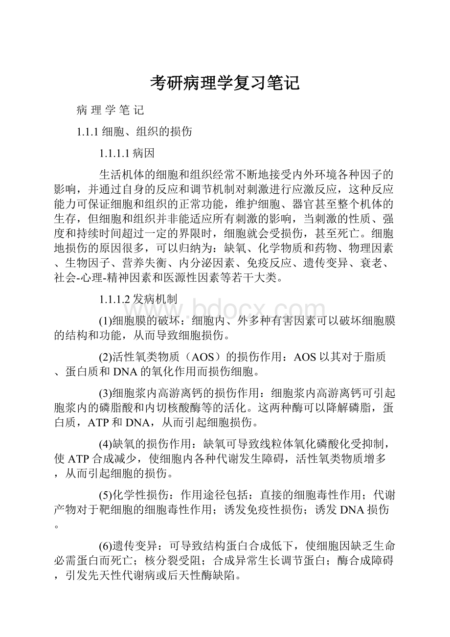 考研病理学复习笔记Word文档格式.docx