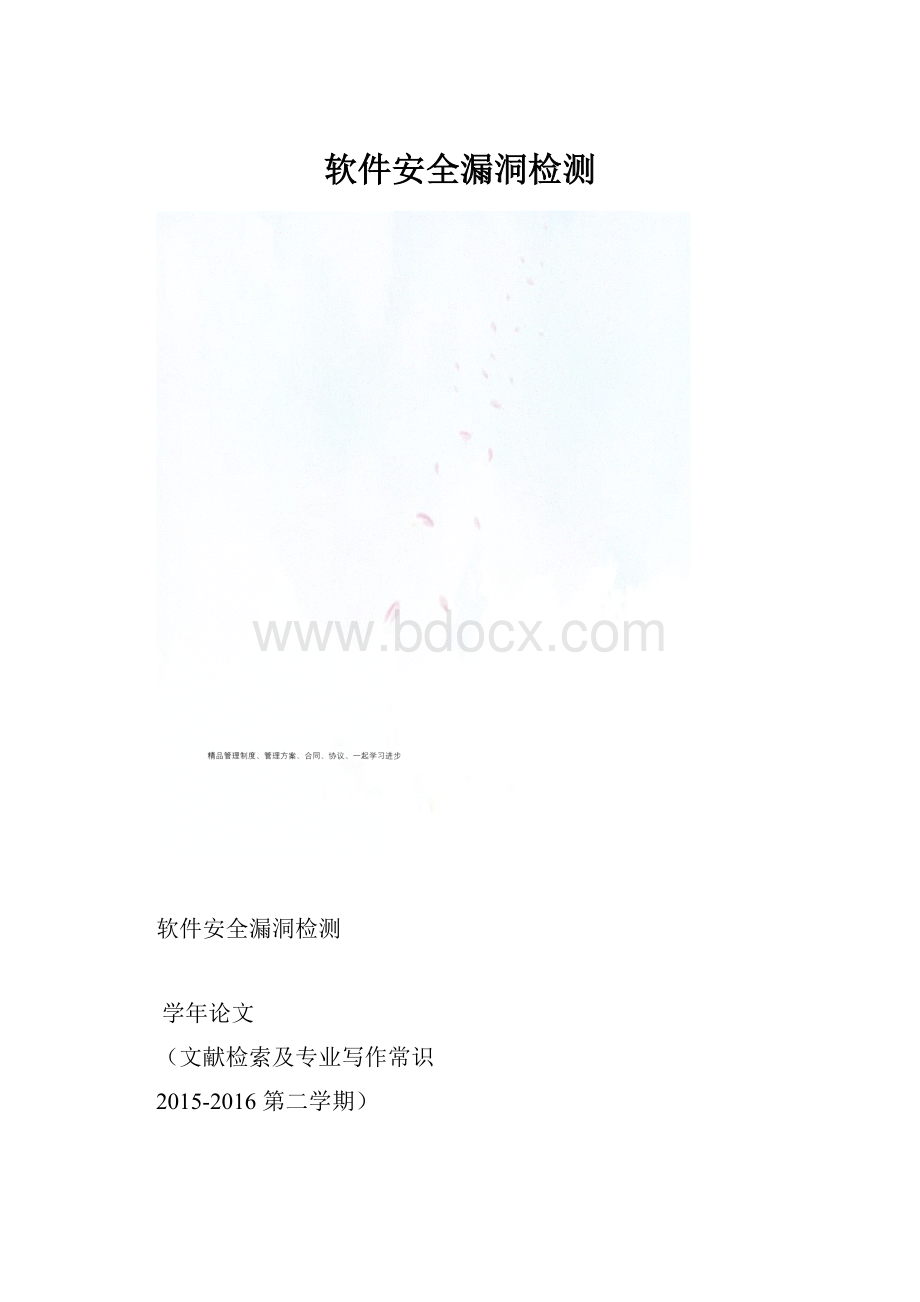 软件安全漏洞检测.docx_第1页