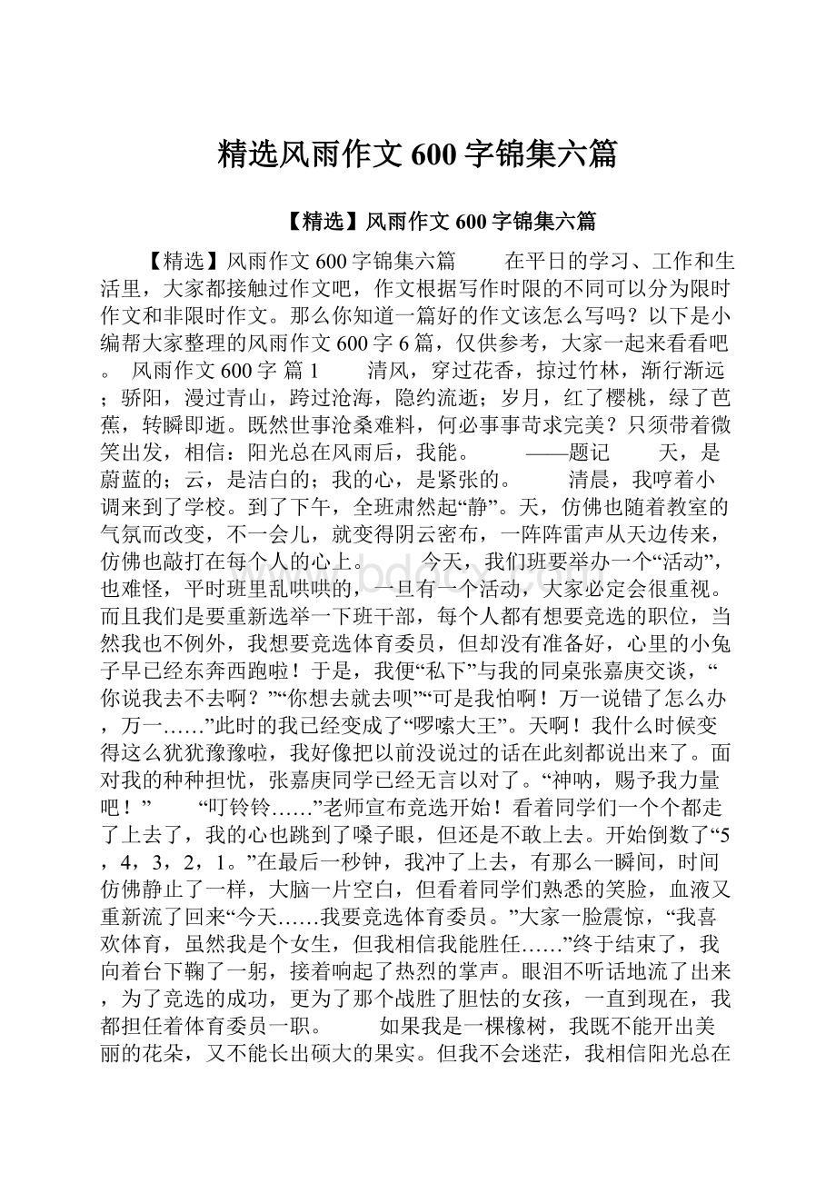 精选风雨作文600字锦集六篇Word文档下载推荐.docx_第1页