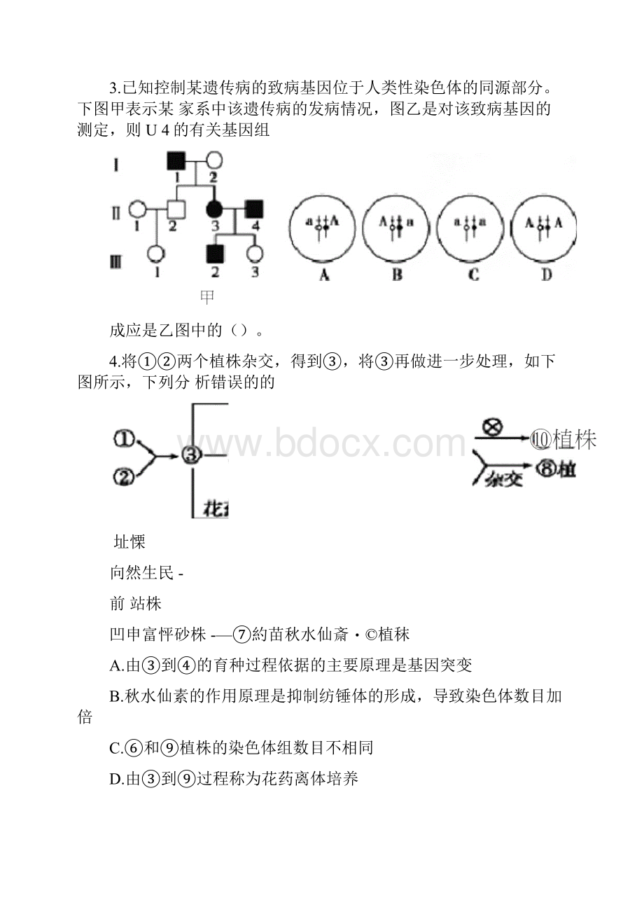 届红安第一中学.docx_第2页