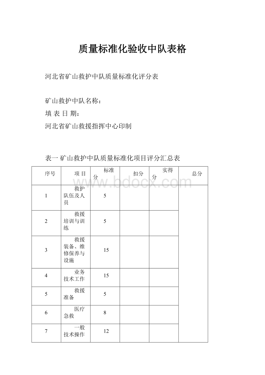 质量标准化验收中队表格Word文件下载.docx