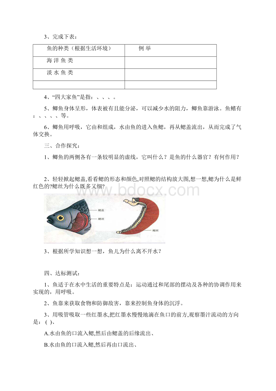 八年级上册生物导学案总.docx_第3页