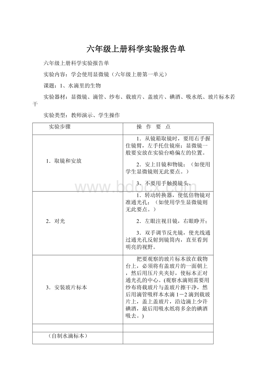 六年级上册科学实验报告单Word文档下载推荐.docx