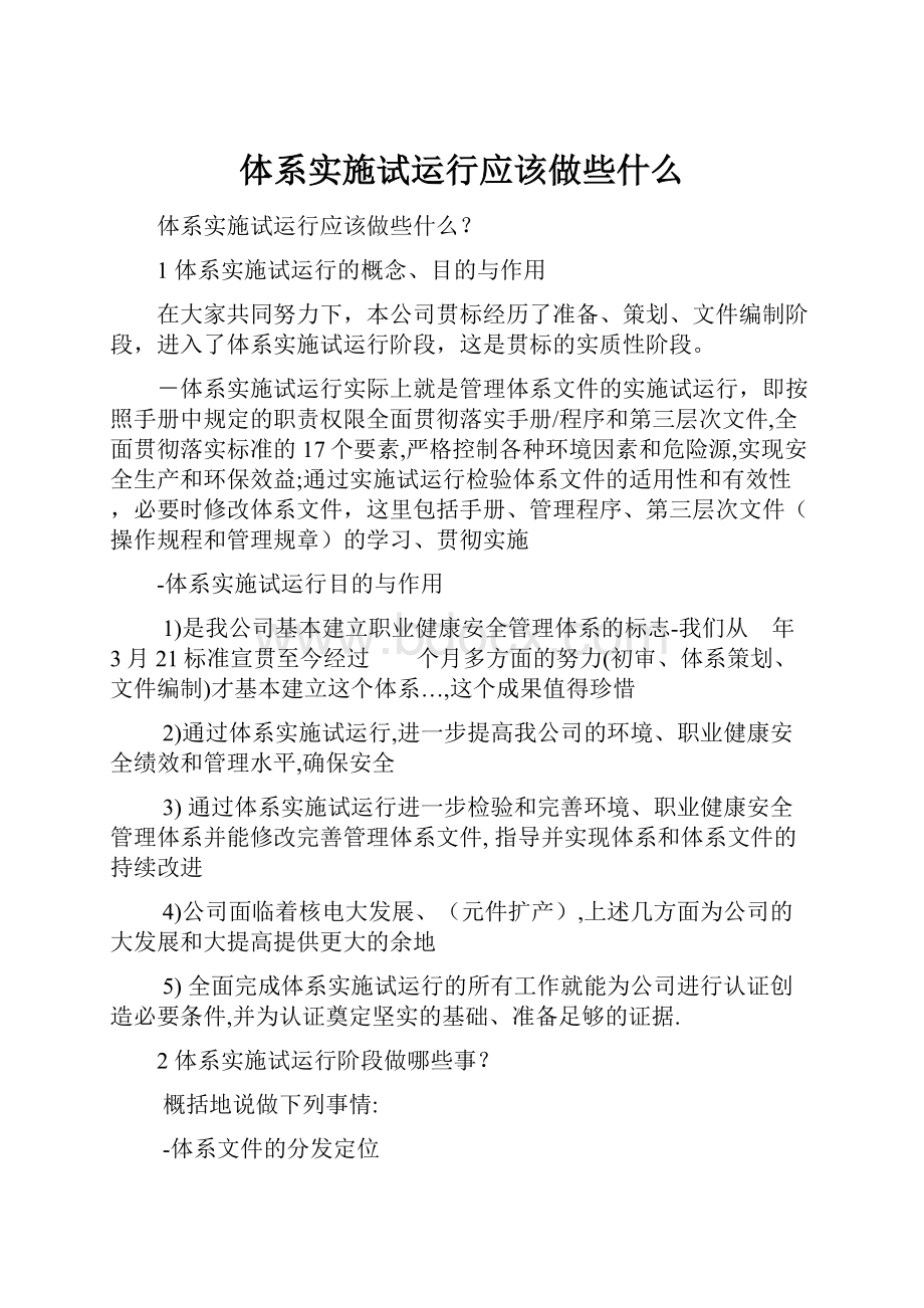 体系实施试运行应该做些什么Word格式文档下载.docx_第1页