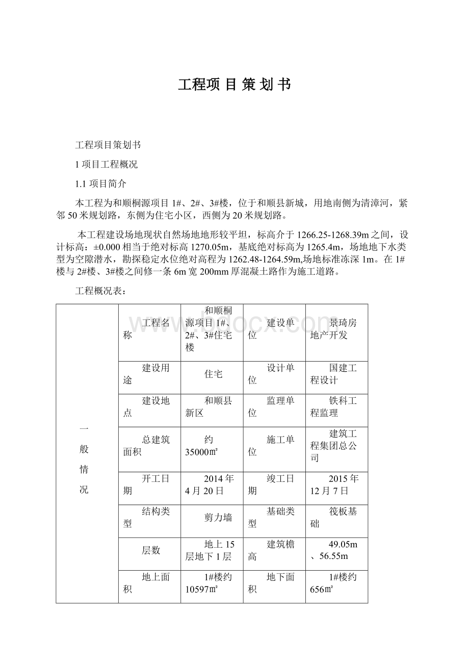 工程项 目 策 划 书.docx_第1页