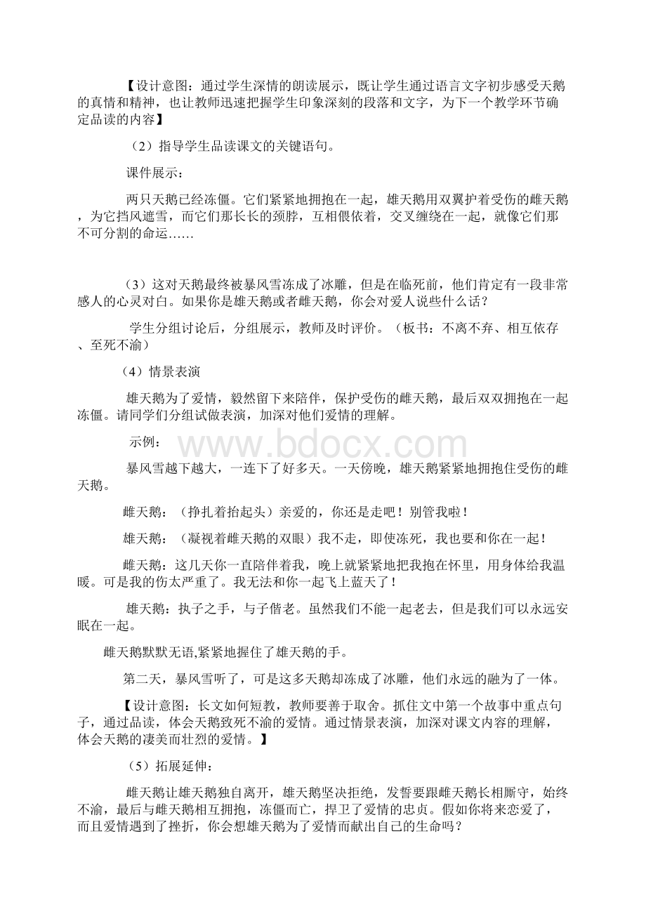 初中语文北师大版七年级天鹅的故事教学设计教案2.docx_第3页