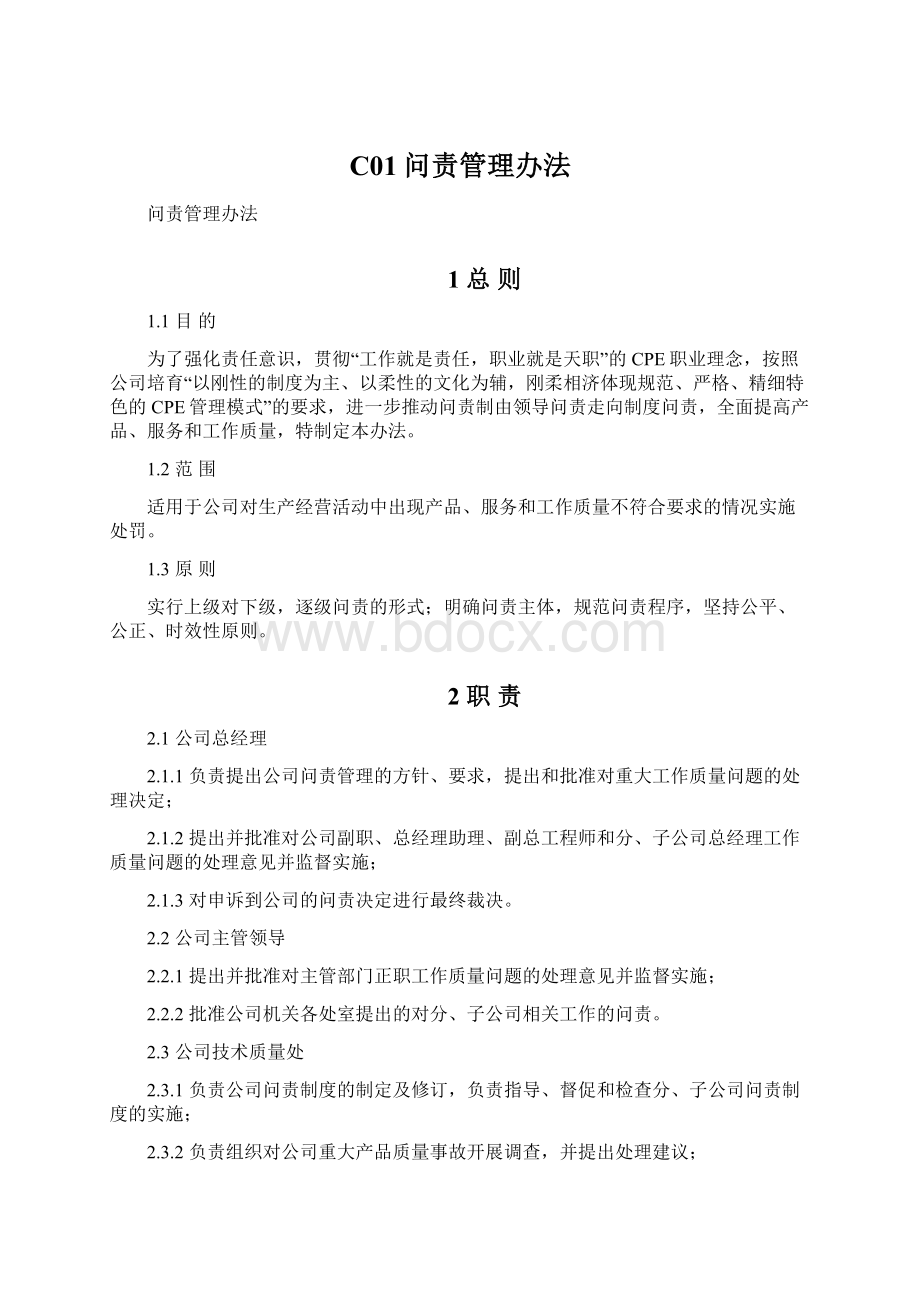 C01问责管理办法文档格式.docx_第1页