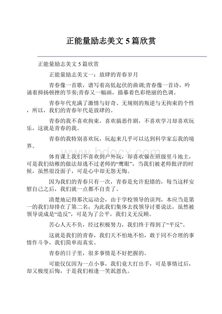 正能量励志美文5篇欣赏Word文件下载.docx