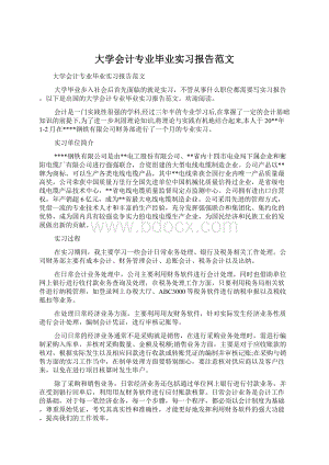 大学会计专业毕业实习报告范文.docx