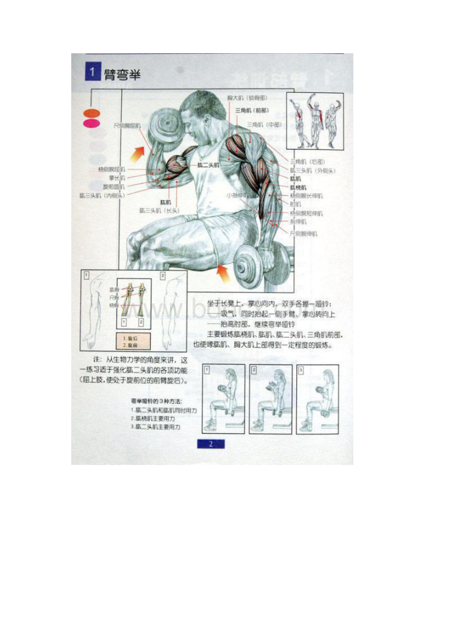 具体的锻炼方法如下.docx_第3页