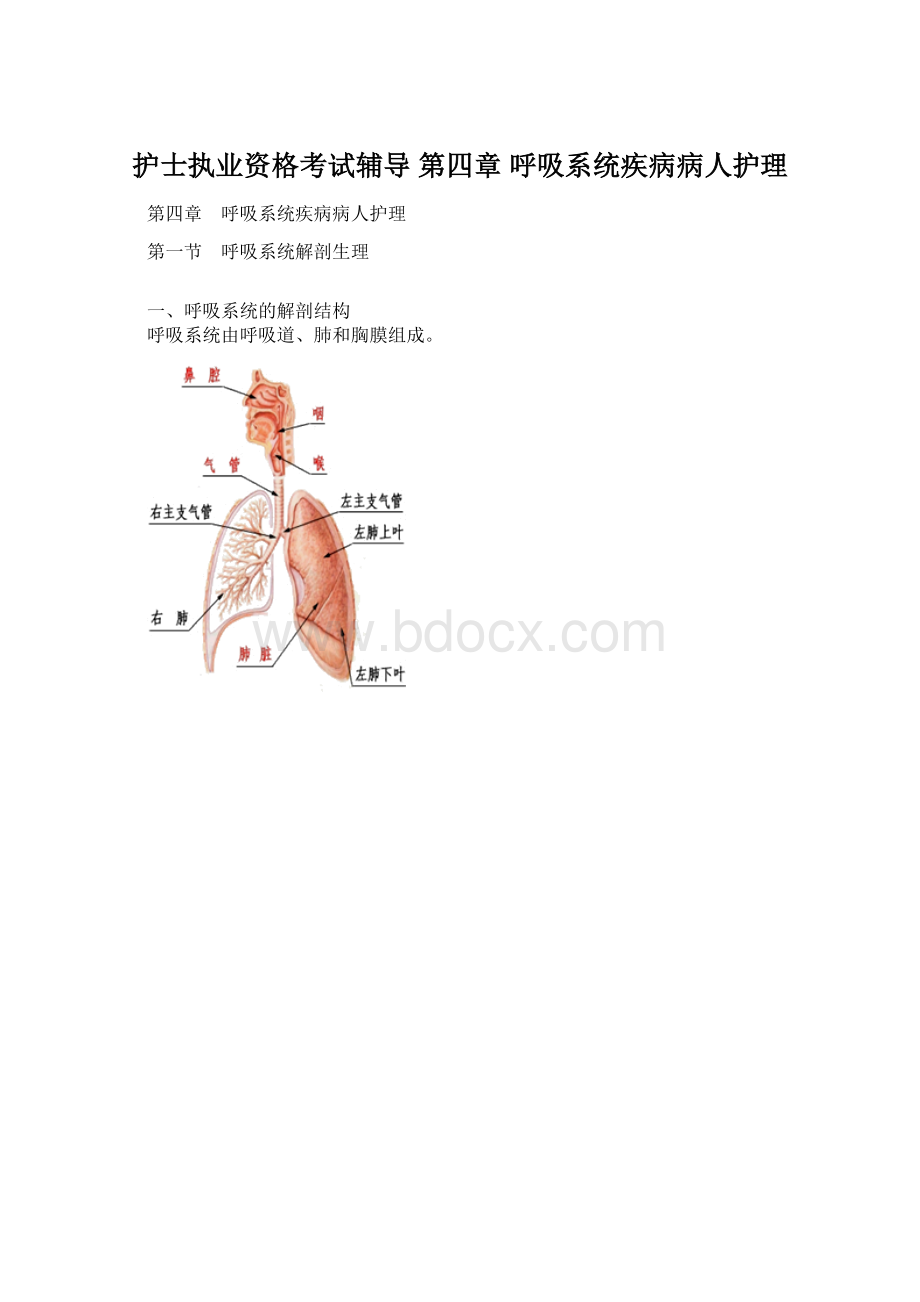 护士执业资格考试辅导第四章 呼吸系统疾病病人护理Word格式文档下载.docx